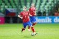 O tři roky mladší bratr Michal hostuje v této sezoně z nizozemského PSV Eindhoven v Liberci. Coby reprezentační „Lvíče“ si zahrál i v kvalifikaci ME proti Řecku.