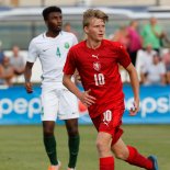 V mládežnických reprezentacích Pavel Šulc reprezentuje od výběru U18. S „lvíčaty“ se nyní chystá na EURO U21.
